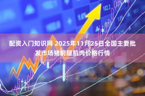 配资入门知识网 2025年11月25日全国主要批发市场猪前腿肌肉价格行情